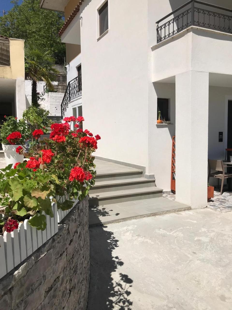 Villa Qeli Gjirokastër Eksteriør billede