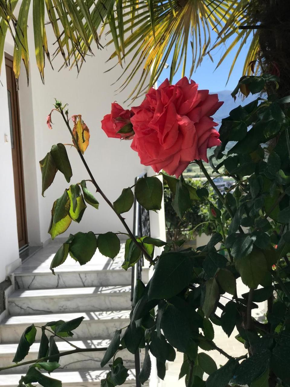 Villa Qeli Gjirokastër Eksteriør billede